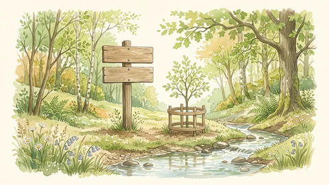 Un panneau en bois au bord d’un ruisseau, dans un bois de printemps.