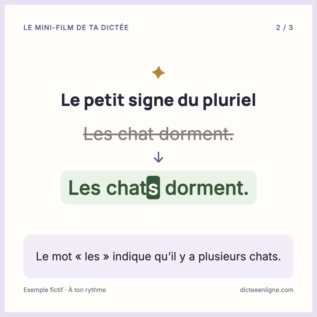 Le mini-film de ta dictée : un exemple
