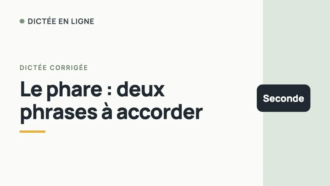 Dictée seconde en vidéo : retrouver les accords